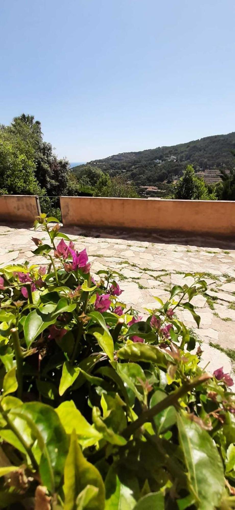 Corti Mori Sa Riera Vistas Mediterraneas Begur Exterior foto